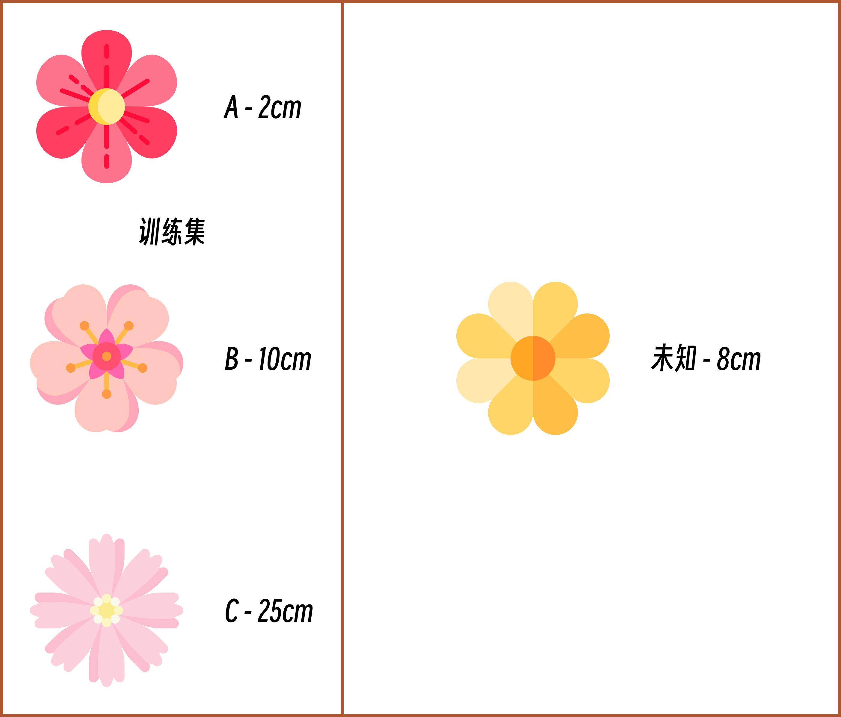 花朵分类